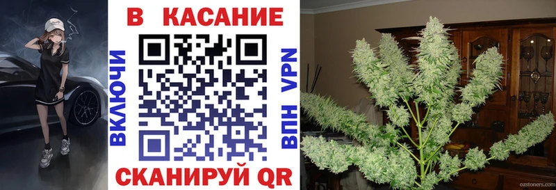 Цена Бронницы Канабис Меф мяу мяу Амфетамин Псилоцибиновые грибы COCAIN Гашиш