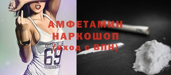 МДПВ Пересвет