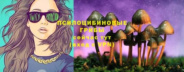 молекула духа Алексеевка