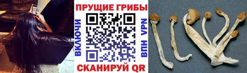 Галлюциногенные грибы мицелий  ОМГ ОМГ ссылки  Бронницы  как найти наркотики 
